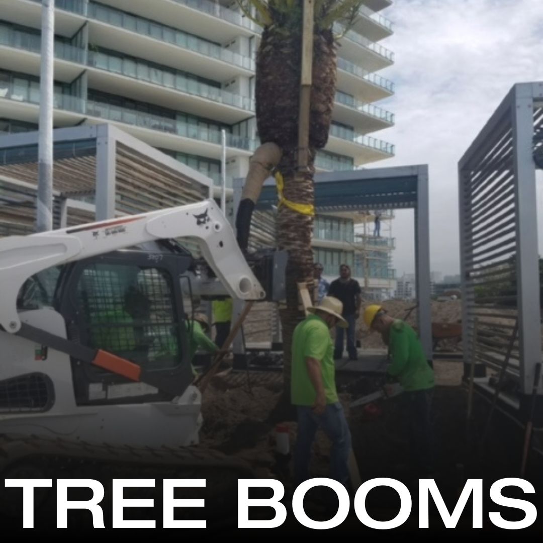 Skid Steer Tree Care Attachments